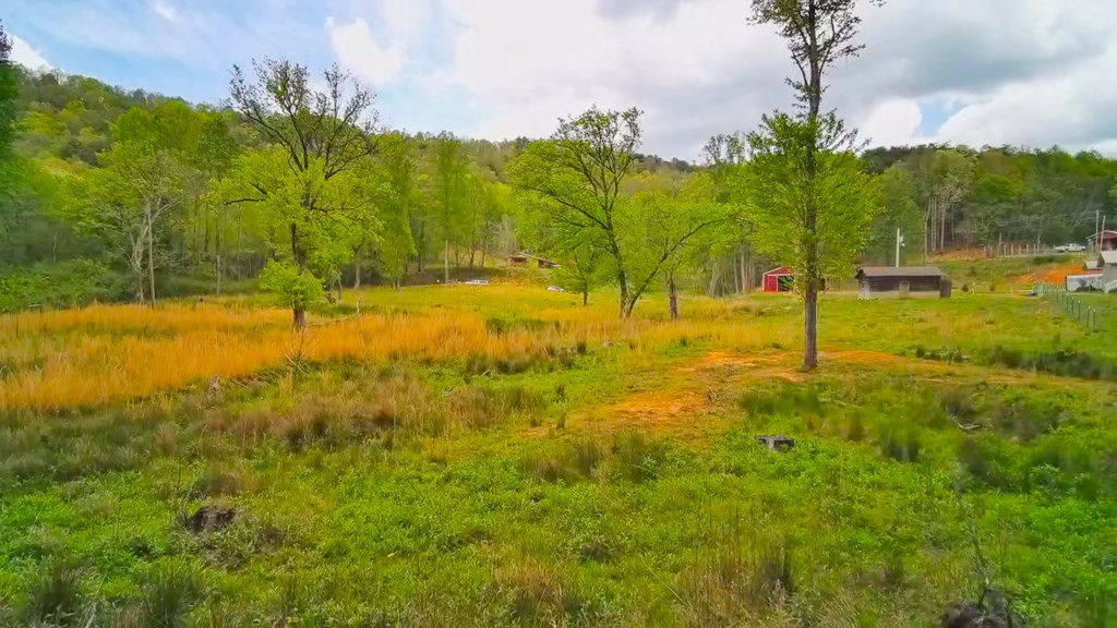 3325 Pack Mountain Road Property Photo 59