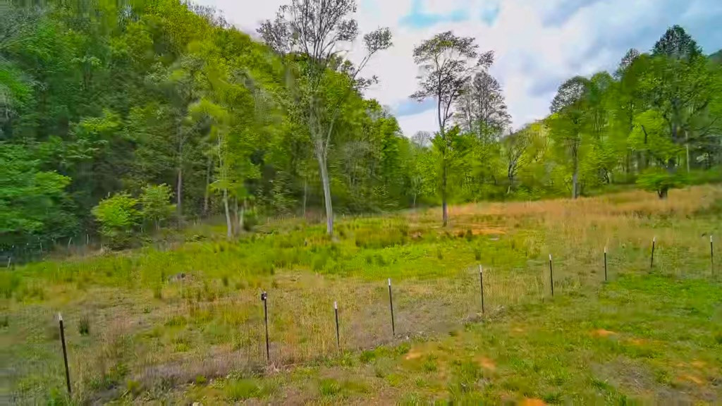 3325 Pack Mountain Road Property Photo 60