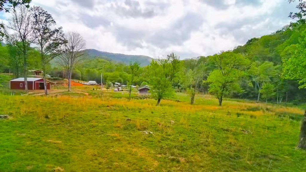 3325 Pack Mountain Road Property Photo 62