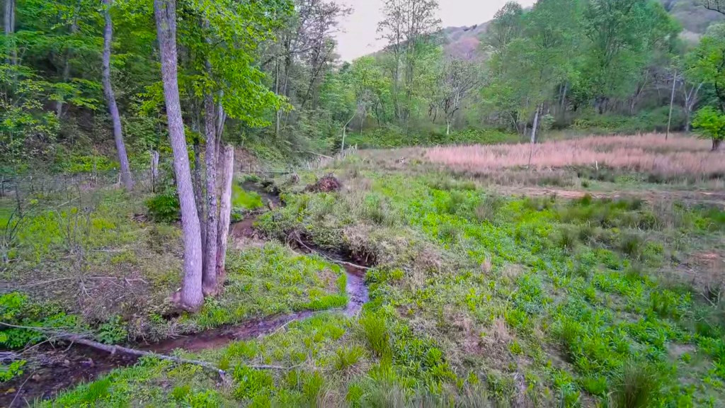 3325 Pack Mountain Road Property Photo 64