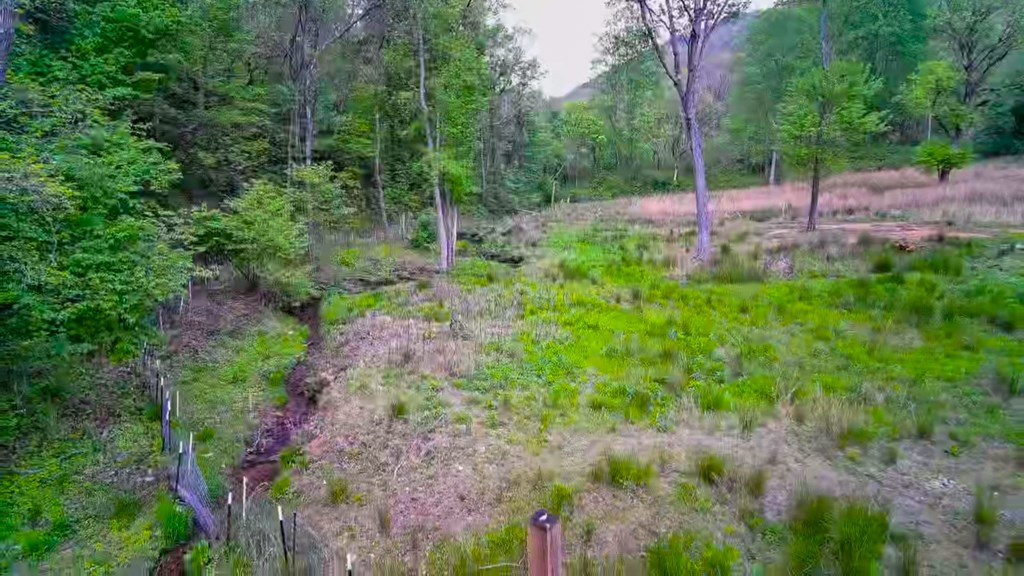 3325 Pack Mountain Road Property Photo 65