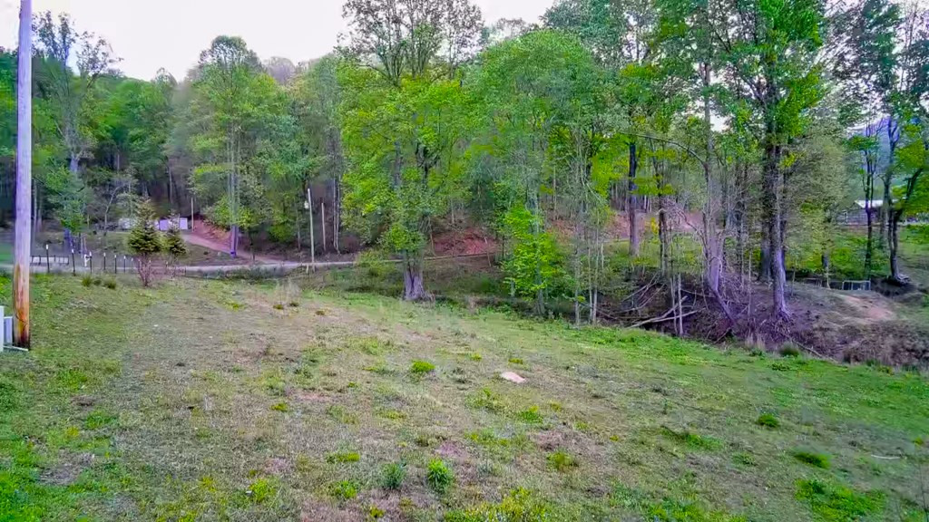 3325 Pack Mountain Road Property Photo 66