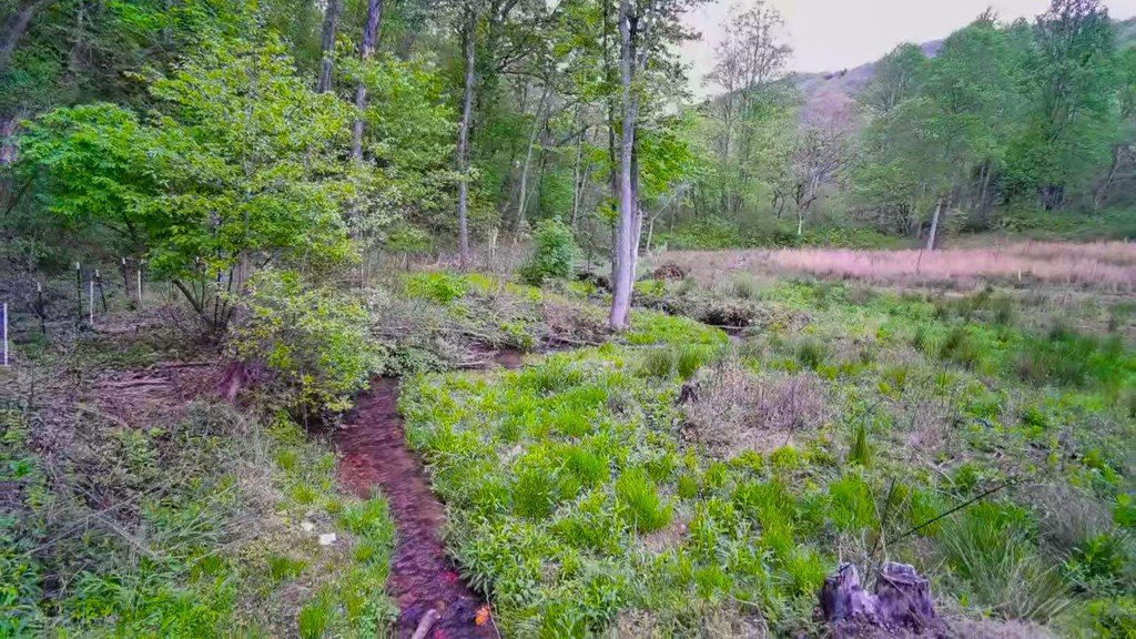 3325 Pack Mountain Road Property Photo 68