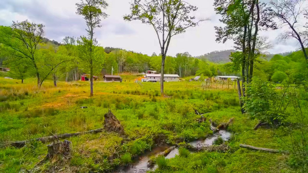 3325 Pack Mountain Road Property Photo 69