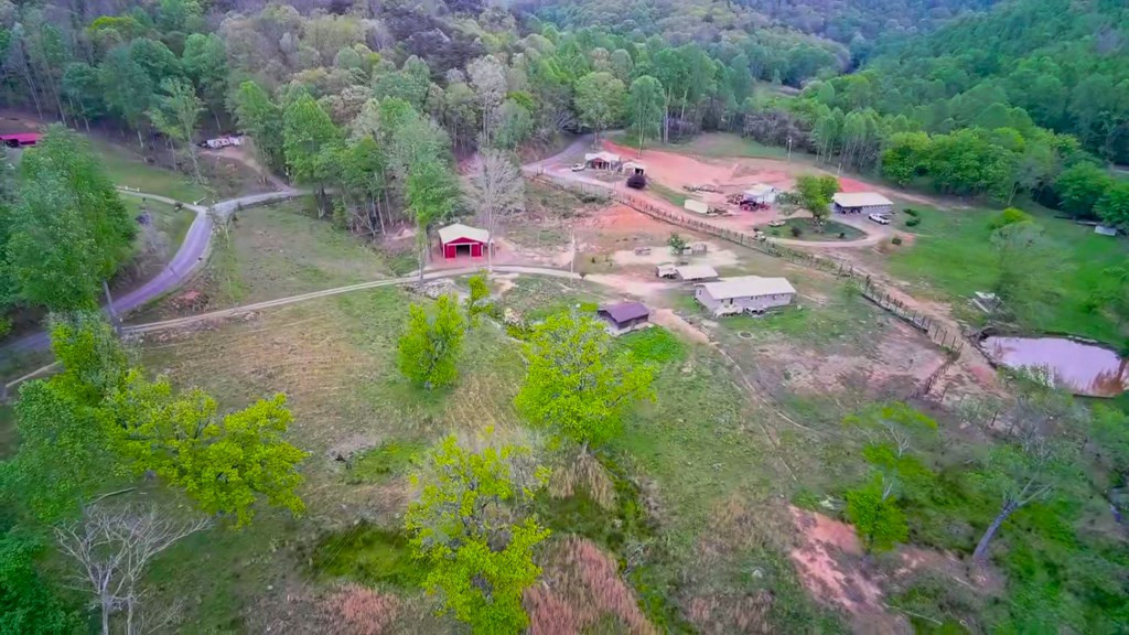 3325 Pack Mountain Road Property Photo 70