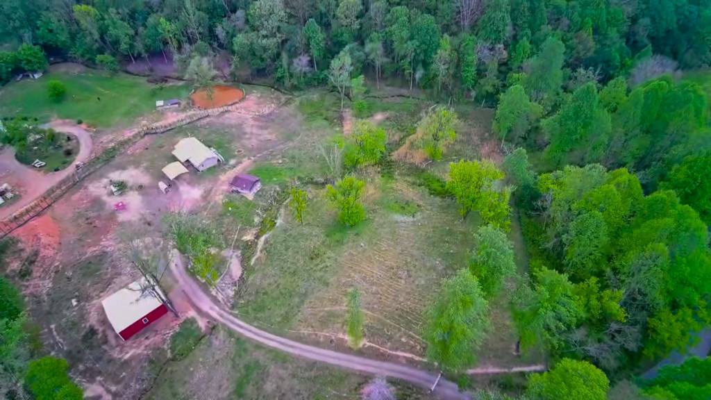 3325 Pack Mountain Road Property Photo 72