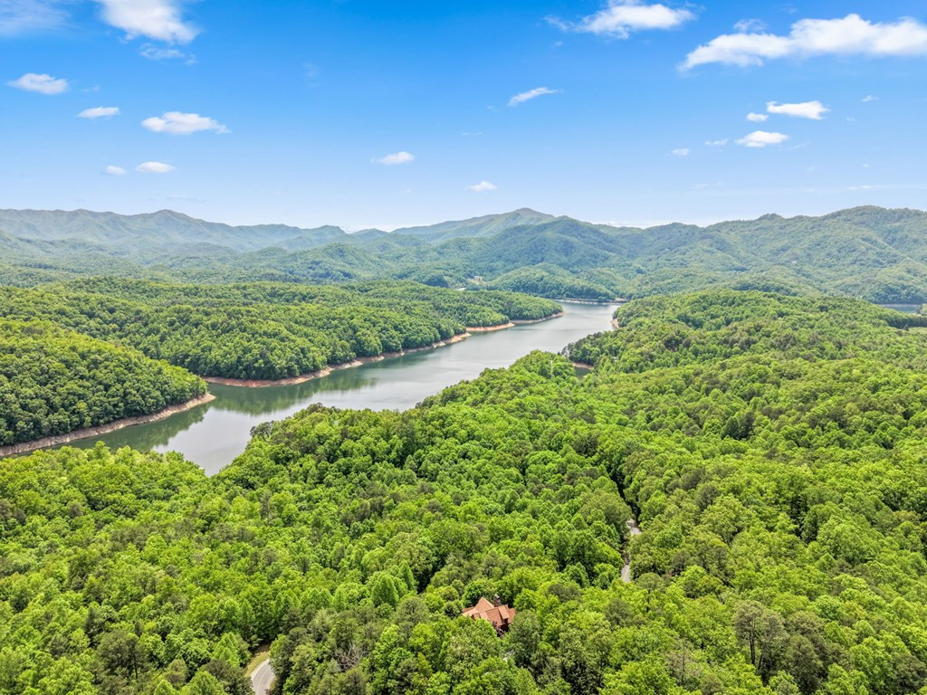 167 Wild Orchid Trail Property Photo 3