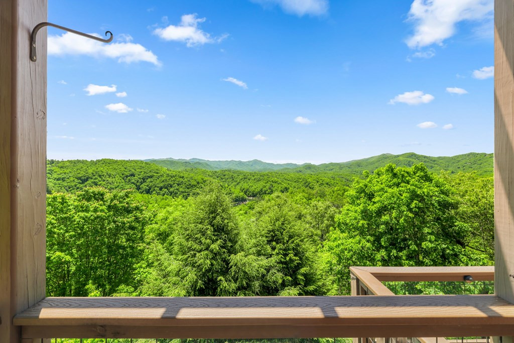 167 Wild Orchid Trail Property Photo 47
