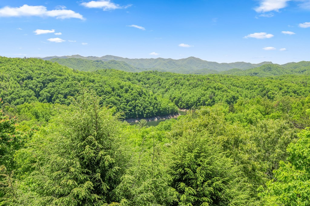 167 Wild Orchid Trail Property Photo 51