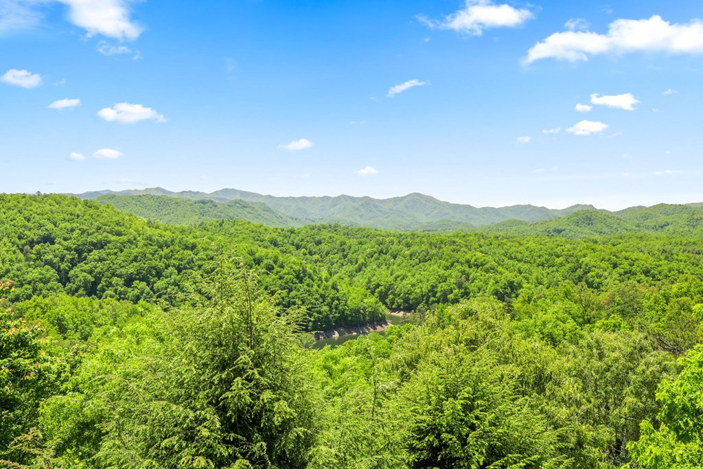 167 Wild Orchid Trail Property Photo 52