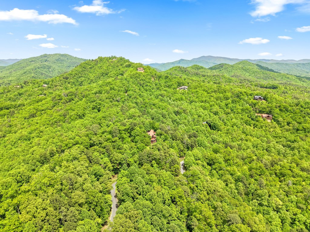 167 Wild Orchid Trail Property Photo 88