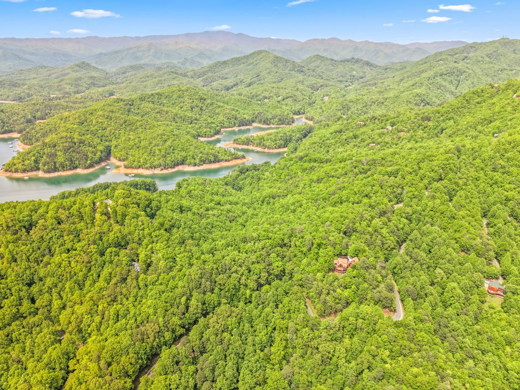 167 Wild Orchid Trail Property Photo 89