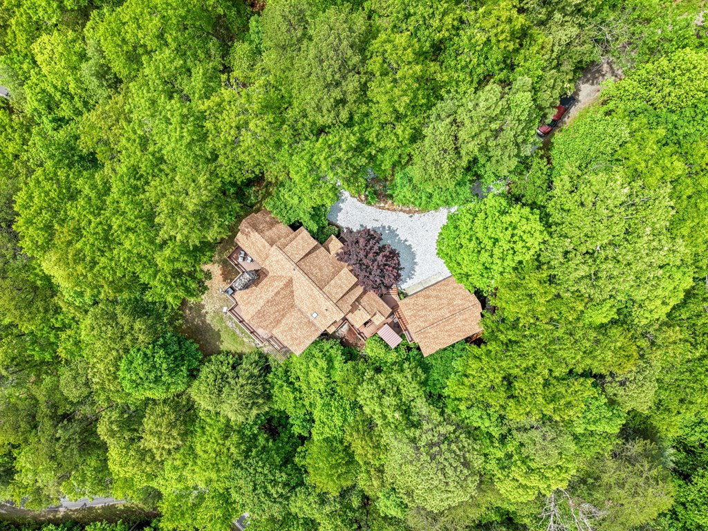 167 Wild Orchid Trail Property Photo 90
