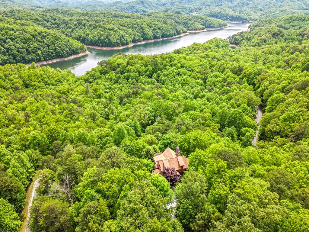 167 Wild Orchid Trail Property Photo 91