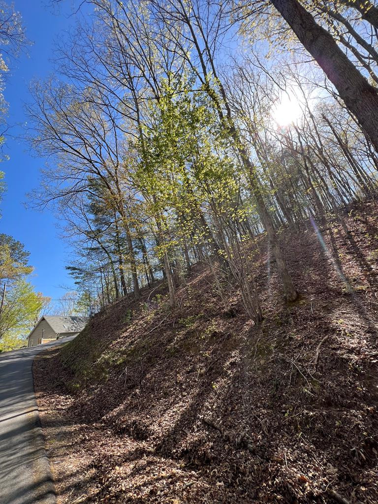 Lot 2 Lonesome Pine Property Photo 1