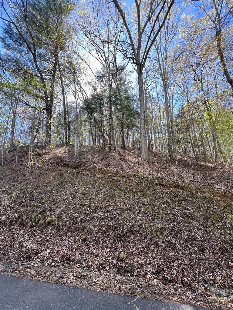 Lot 2 Lonesome Pine Property Photo 2