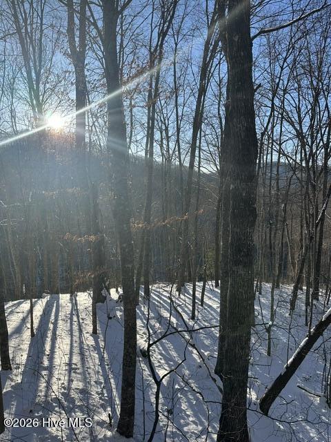 305 Junaluska Road 3 Lots Property Photo 58