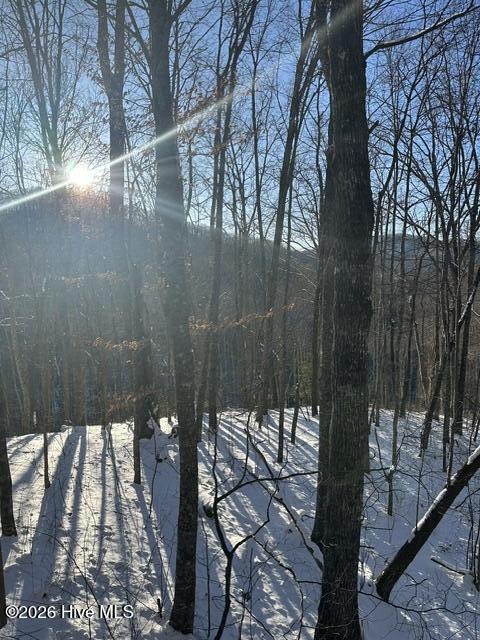 305 Junaluska Road 3 Lots Property Photo 65