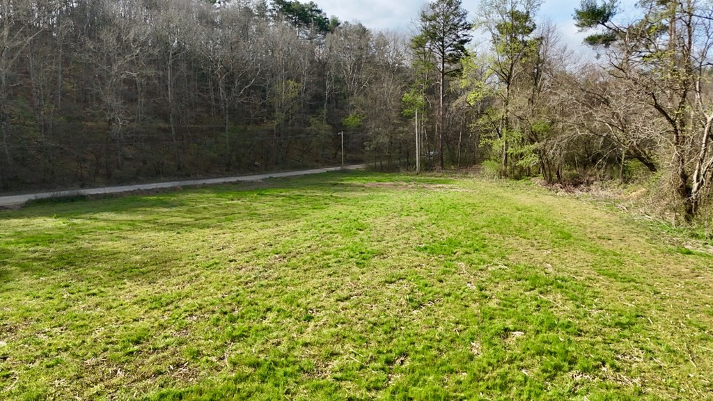 11.87 Ac Die Bend Road Property Photo 5