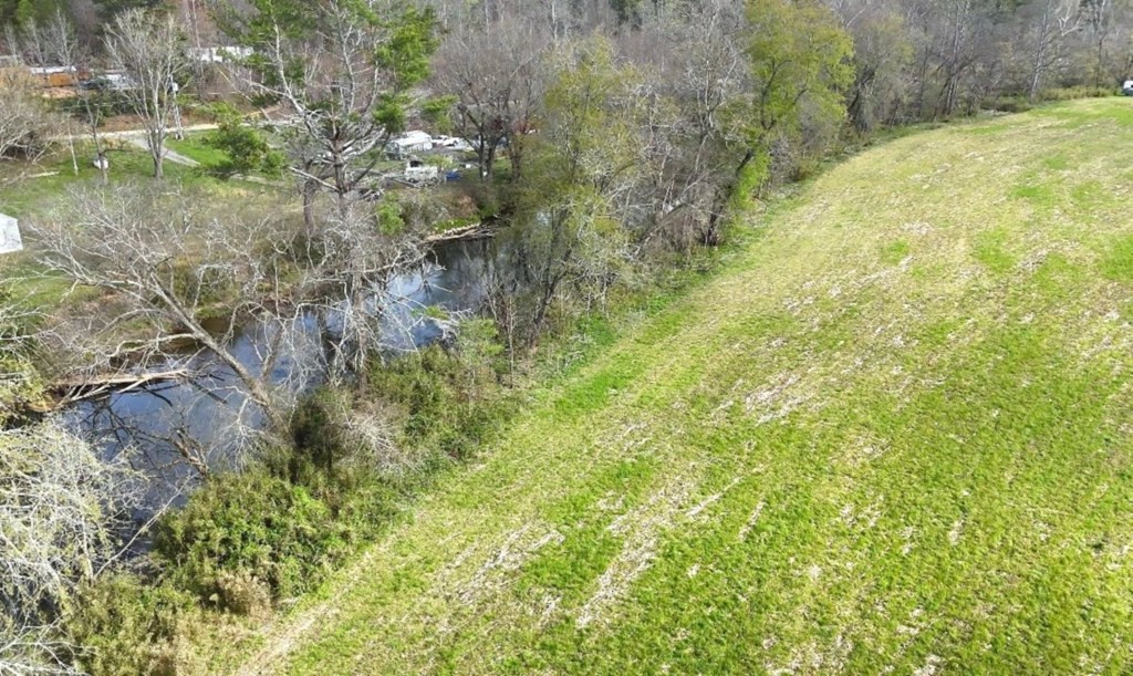 11.87 Ac Die Bend Road Property Photo 6