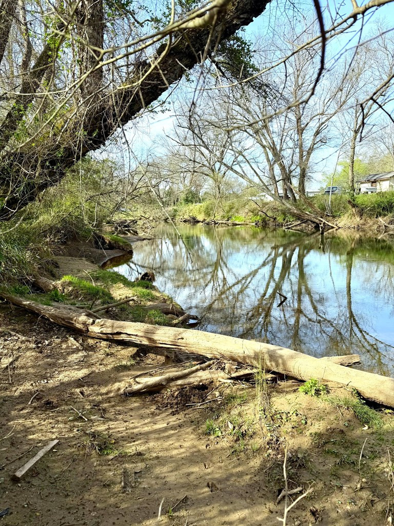 11.87 Ac Die Bend Road Property Photo 13