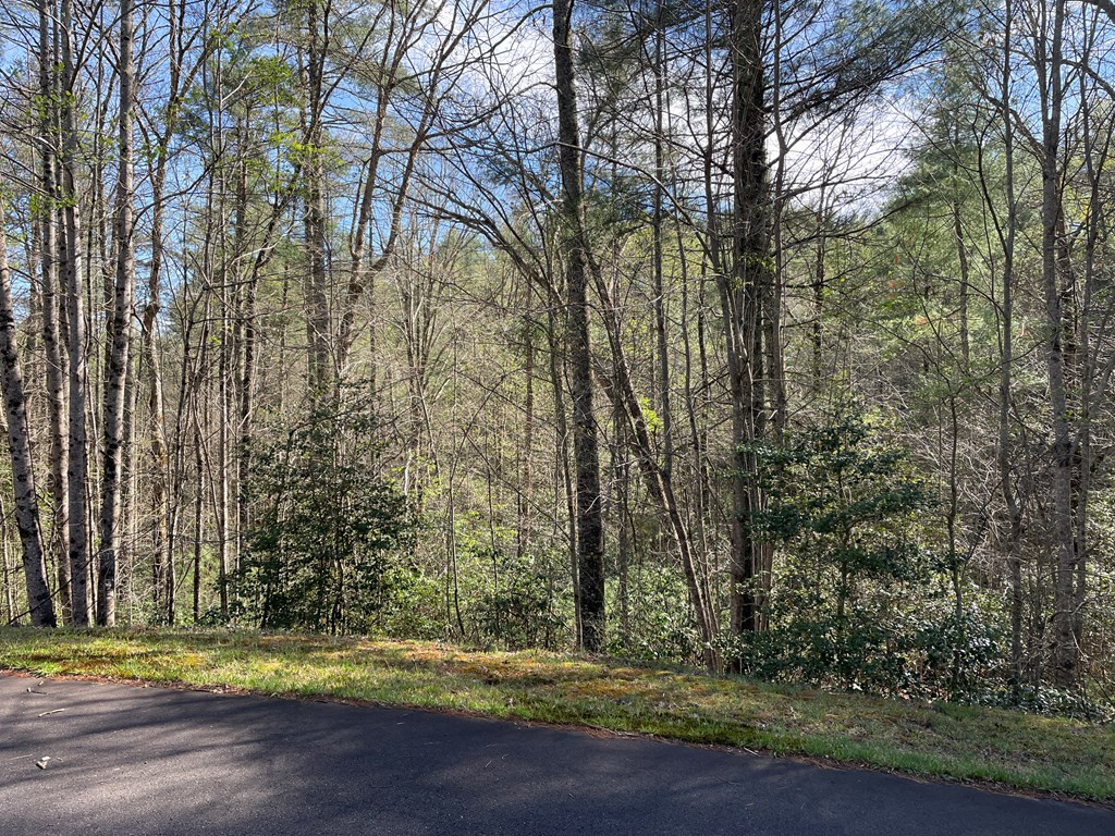 Lot 89 Spectacular Property Photo 3