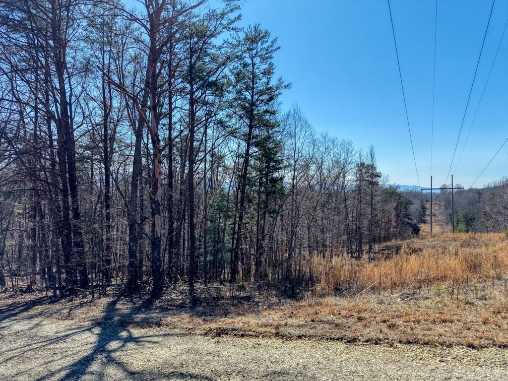 3.46 Acres Smokey Hills Property Photo 4