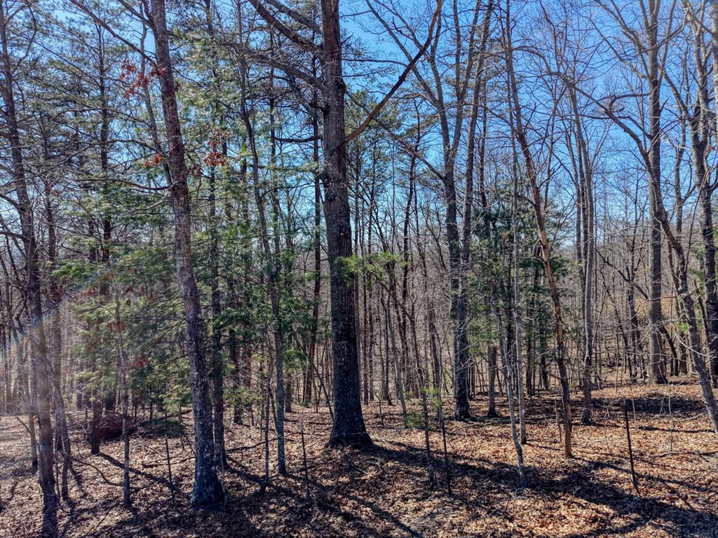 3.46 Acres Smokey Hills Property Photo 5