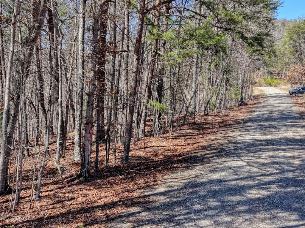 3.46 Acres Smokey Hills Property Photo 6