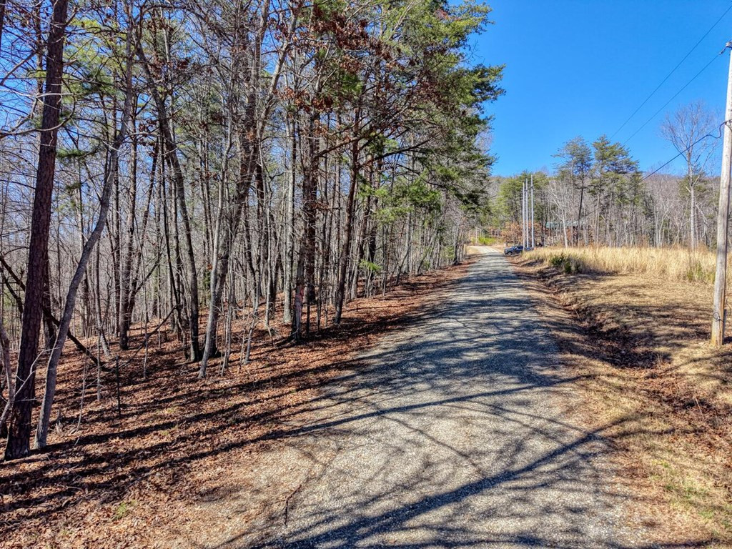 3.46 Acres Smokey Hills Property Photo 7