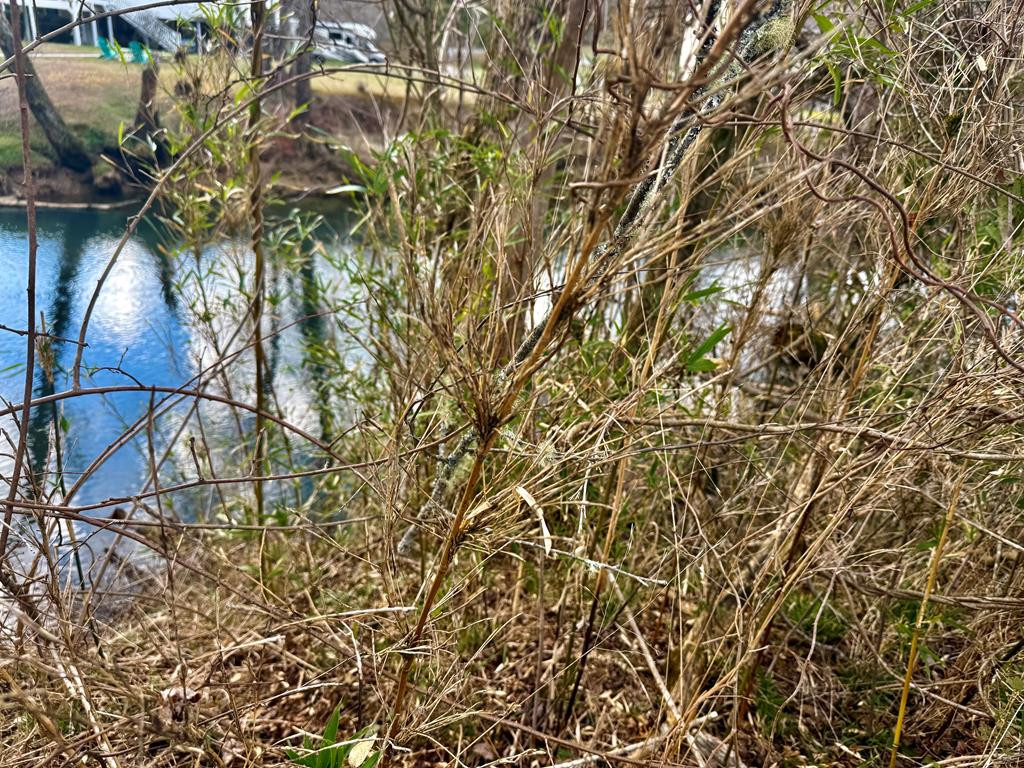 20 20 Butterball Boulevard Property Photo 1