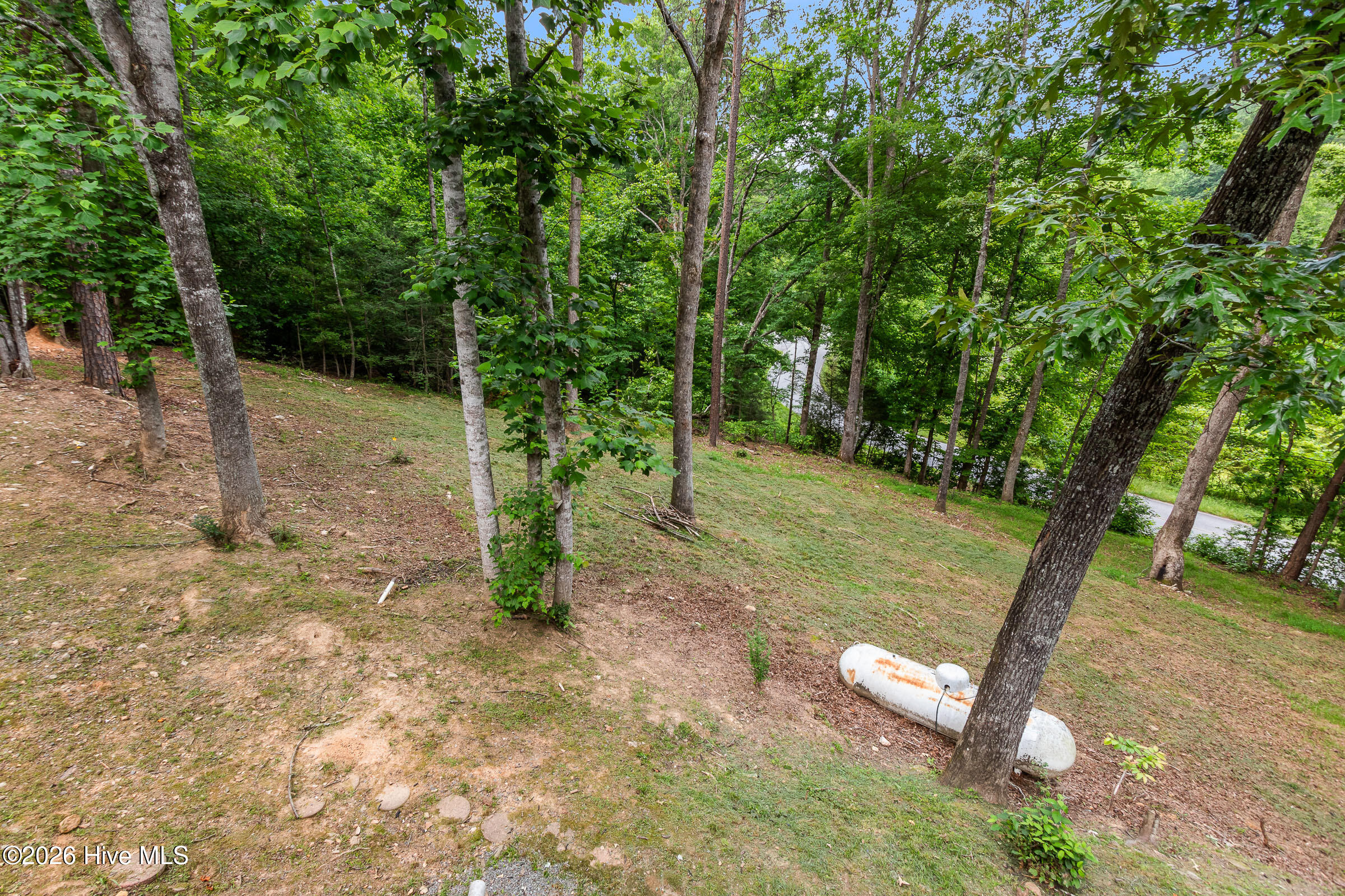 1214 Marrestop Road Property Photo 7