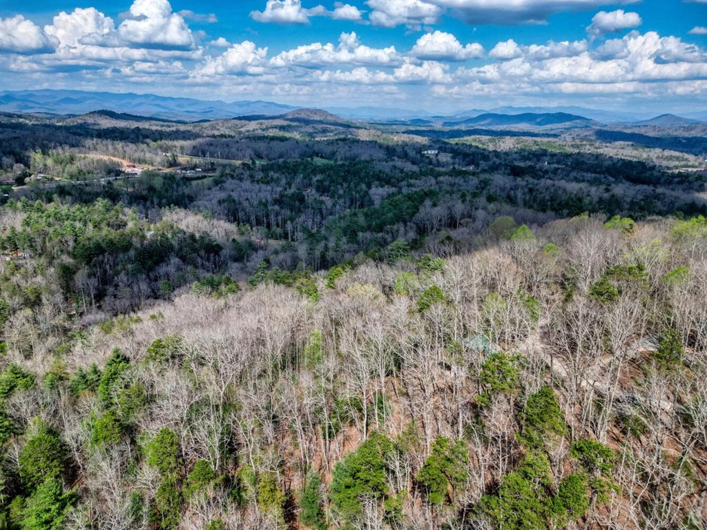 340 Mountain Top Drive Property Photo 33