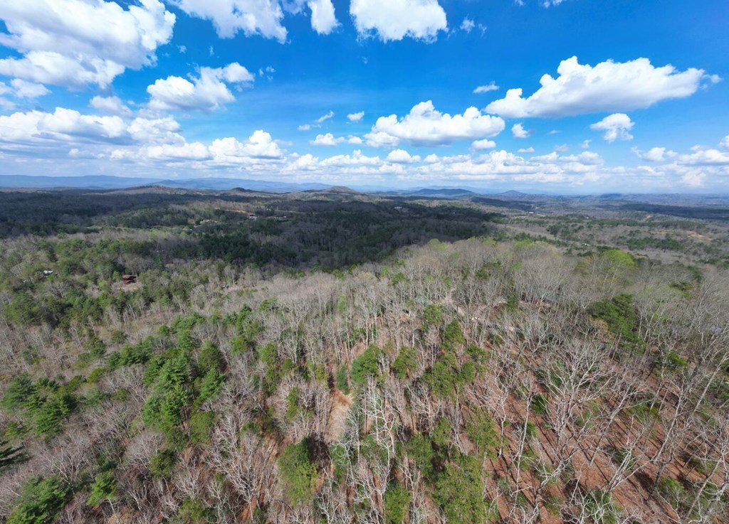 340 Mountain Top Drive Property Photo 34