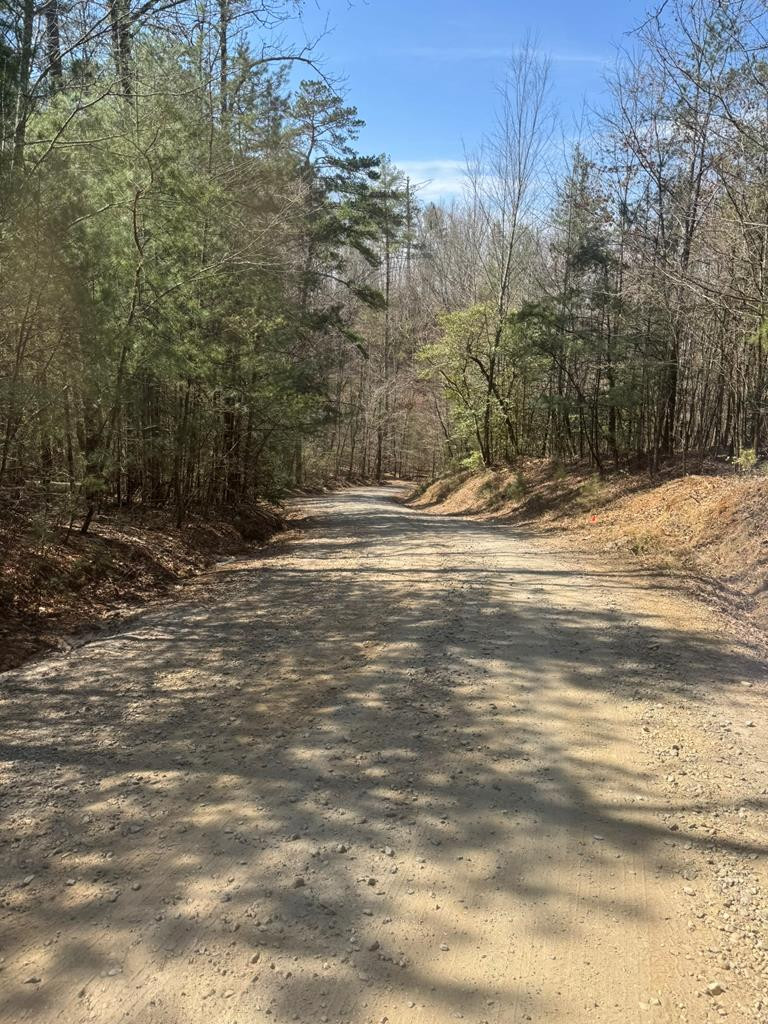 00 Blue Ridge Heights Property Photo 1