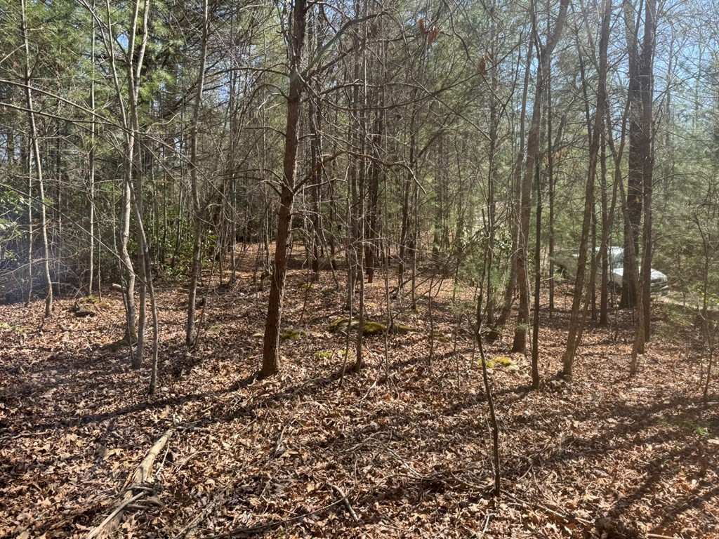 00 Blue Ridge Heights Property Photo 2
