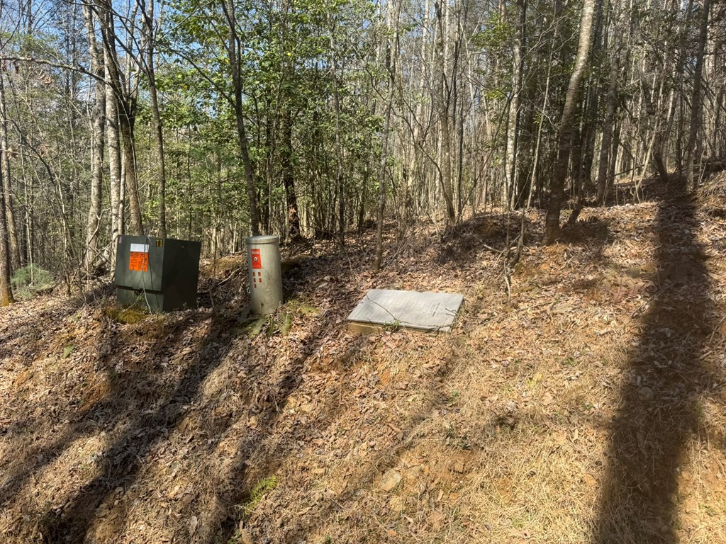 00 Blue Ridge Heights Property Photo 3