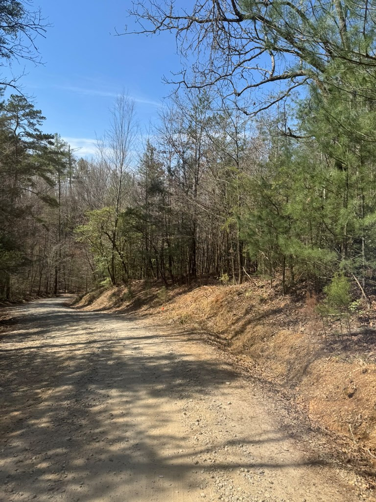 00 Blue Ridge Heights Property Photo 4