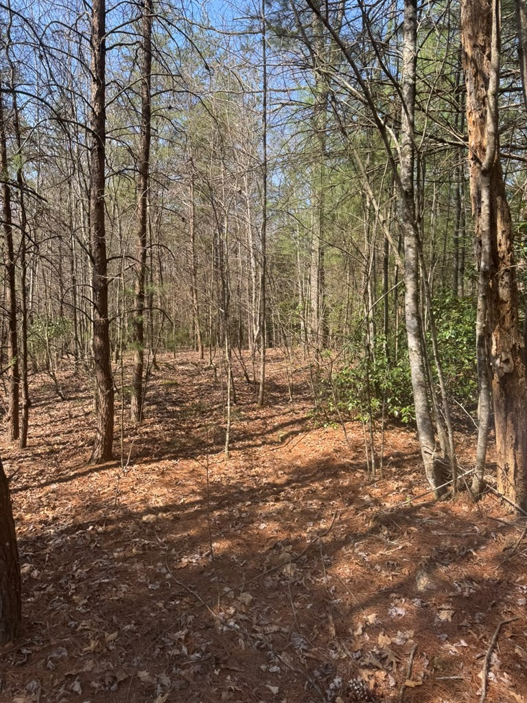 00 Blue Ridge Heights Property Photo 5
