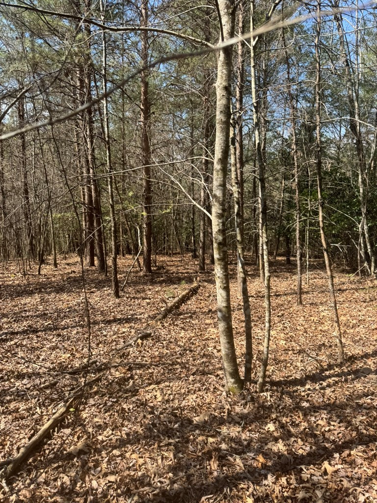 00 Blue Ridge Heights Property Photo 6
