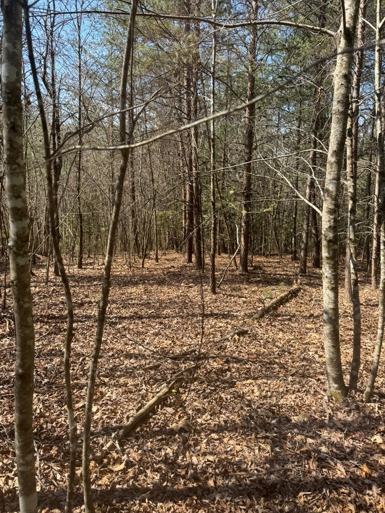 00 Blue Ridge Heights Property Photo 7