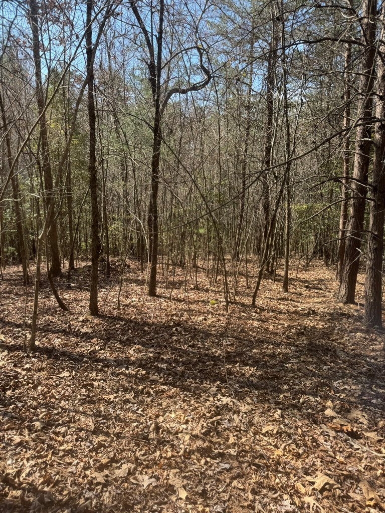 00 Blue Ridge Heights Property Photo 8