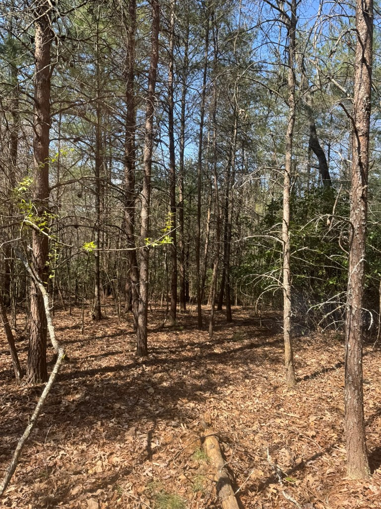 00 Blue Ridge Heights Property Photo 9