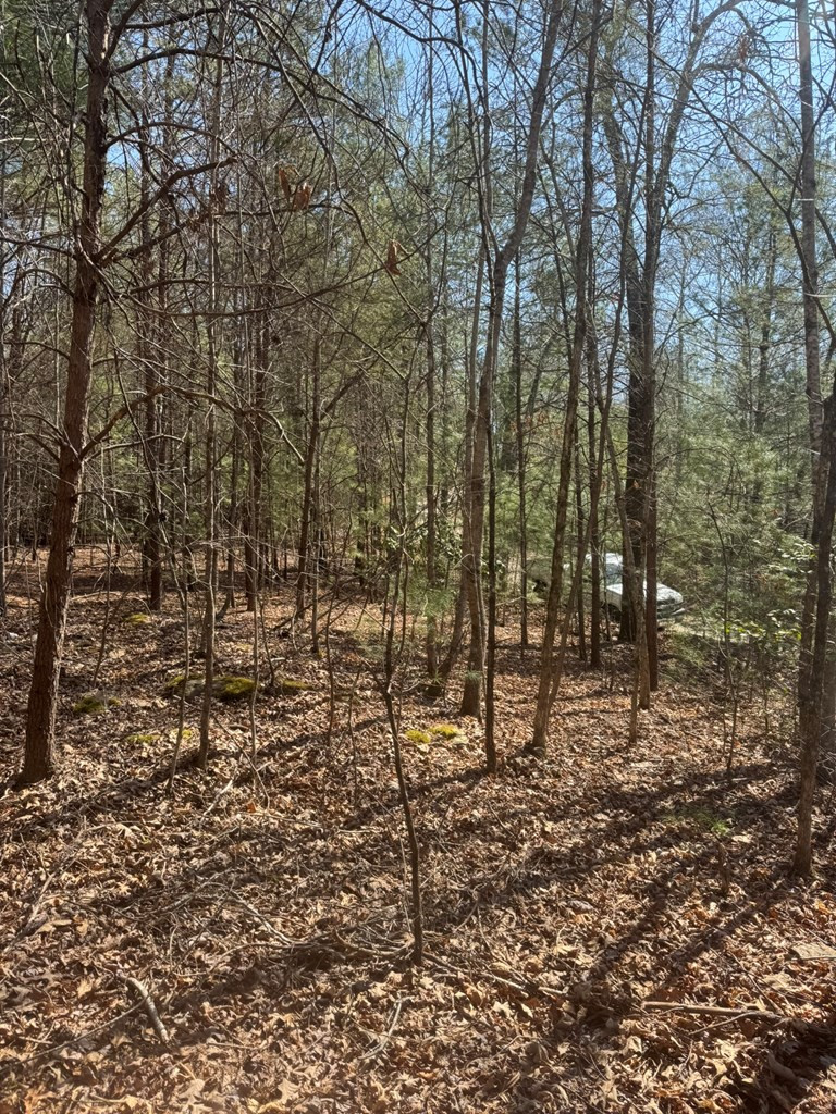 00 Blue Ridge Heights Property Photo 10