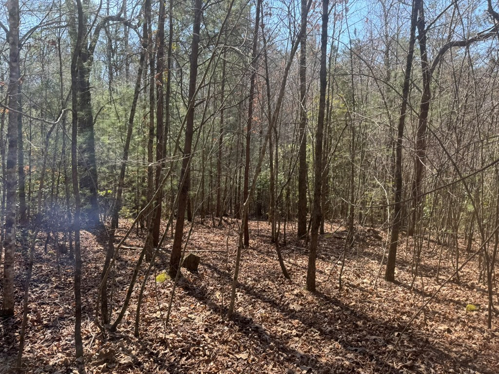 00 Blue Ridge Heights Property Photo 11