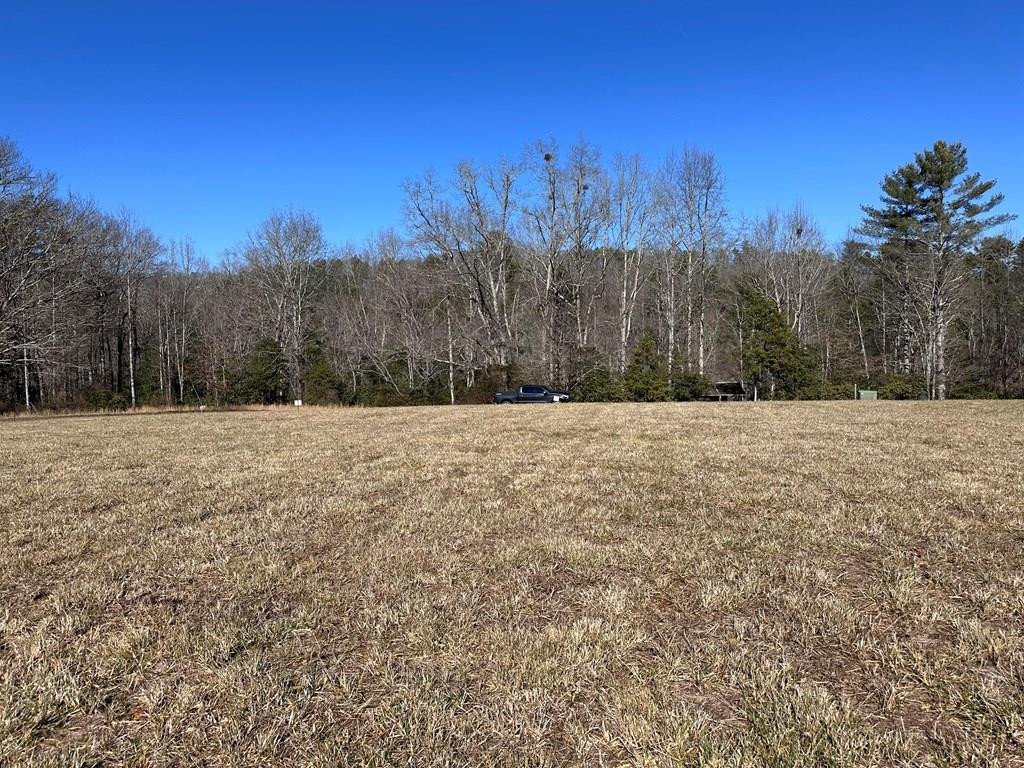 38 Holly Point Drive Property Photo 13