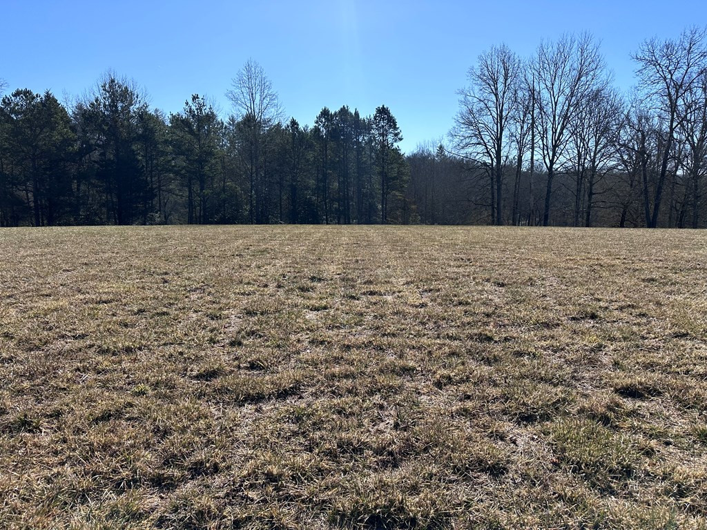 38 Holly Point Drive Property Photo 14