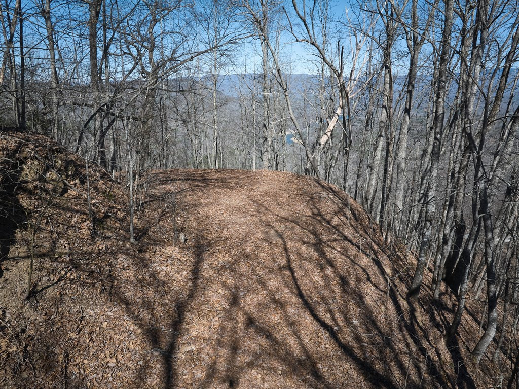 Lot 2 Grouse Drive Property Photo 4