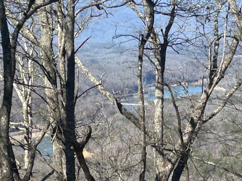 Lot 2 Grouse Drive Property Photo 12