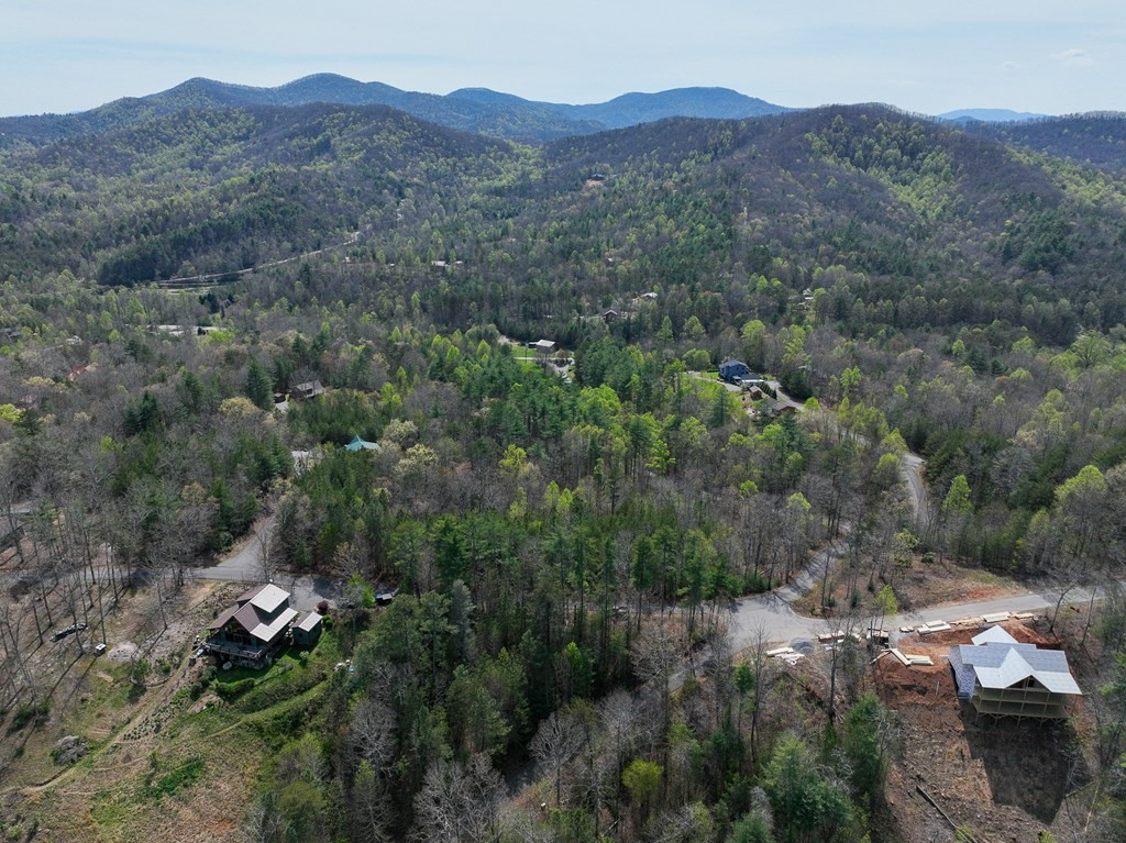 Lot 2 2 Flowing Springs Drive Property Photo 19
